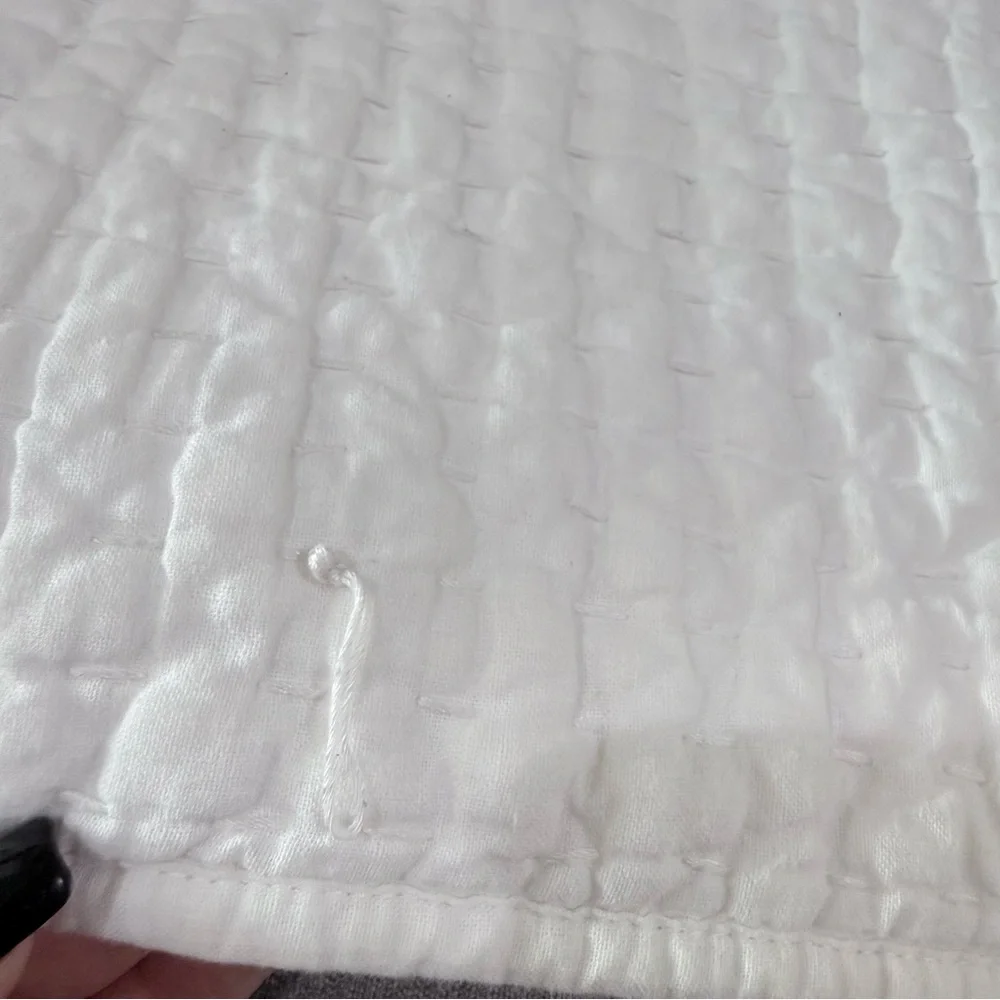 Pottery Barn King Shams - Picture 8 of 11